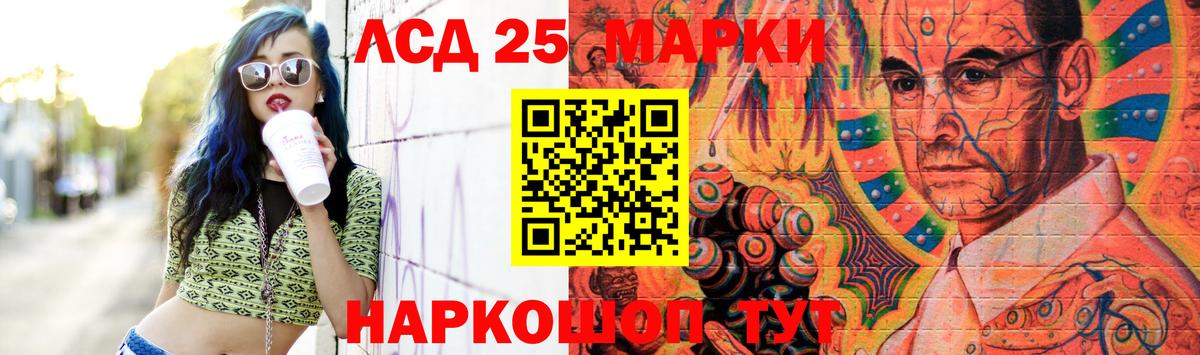 Новозыбков  Лсд 25 экстази кислота  Вход с VPN  Лсд 25 экстази  LSD-25 экстази кислота 