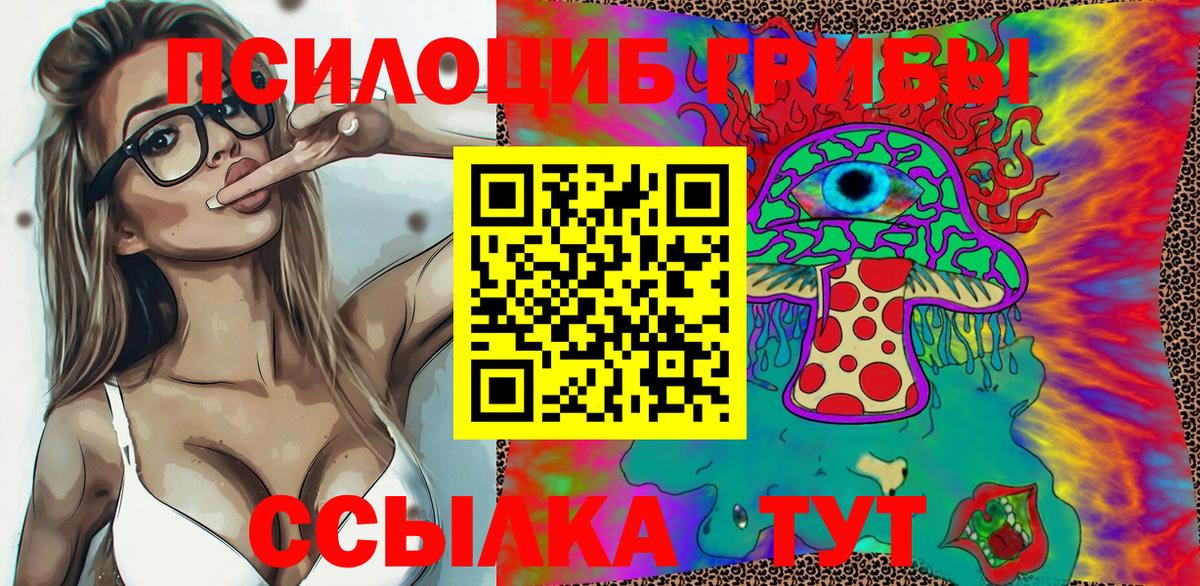 Галлюциногенные грибы Cubensis Новозыбков