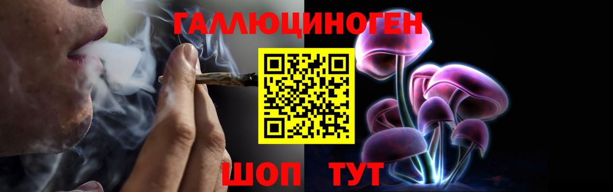 Новозыбков  Галлюциногенные грибы Magic Shrooms  Вход с VPN  Галлюциногенные грибы мухоморы 
